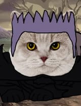 regill the cat