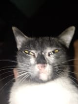 1735859836379
