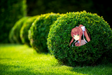monibush