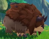 Wildlife_Shaggy_Sumpter_Beast_Wild