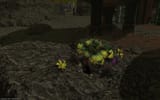 ffxiv_06132025_102958_167