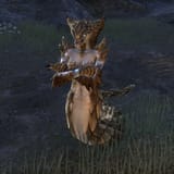 ON-creature-Lamia