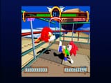 sonic-the-fighters-xbla-screenshot-1