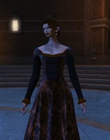 ffxiv_dx11_2025_06_18_12_46
