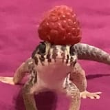 femra with a hat