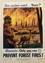 smokey the bear