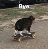 1739601671982072