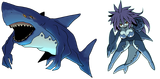 shark
