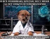 17500976419140