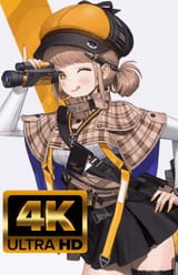 novel