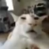 1743357575713663