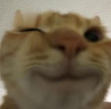 1645358723396