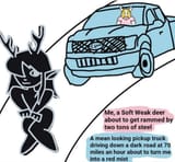 softdeer