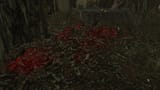 screenshot_1145