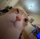 1737911935120858