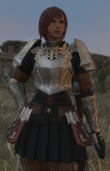Highlander knights