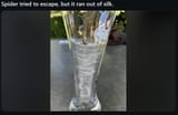 1746871404972851