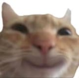 1728680626811446