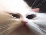 1749402467661941
