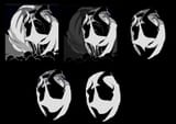titan gaster