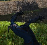 ffxiv_dx11_2025-05-30_05-23-56