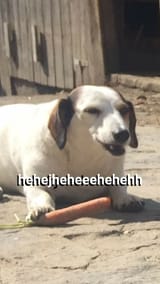 1724119302705797