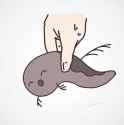 1744530325852889237_1_thumb.jpg