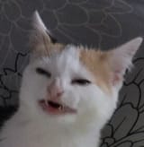 1491488309827