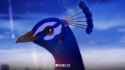 srd[sound=files.catbox.moe%2F06gcf7.ogg]_thumb.jpg