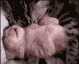1385926904147