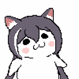 Kot lick