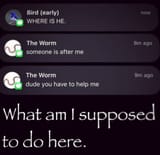 aerly bird worm