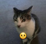 1728486722127250