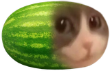 1733556276960466