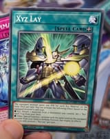 lay