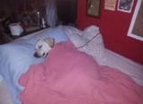 I SLEEP