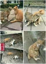 1574744781322