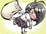 Pillow Throw