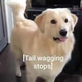 1754132880025