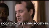 ghostbusters-venkman-1