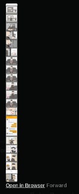 Screenshot 2025-01-10 131958