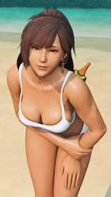 ffxiv_dx11 2024-12-28 21-01-20