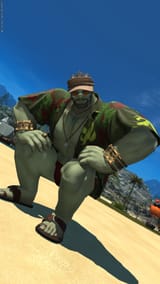 ffxiv_08082024_211224_935