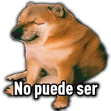 images (38)