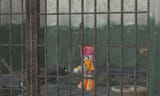 jailbird_amy_rose_2_by_sonicrpfan14_d757qip-fullview