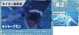 Shark and Skullsea