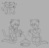 sunnyharucat
