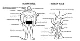 Human Men &amp; blobian men