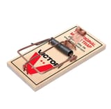 mouse trap