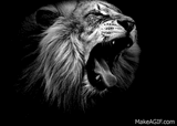 Roar